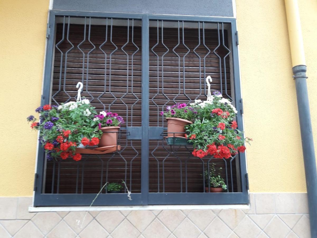 Domus Grace Catania